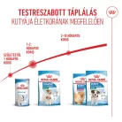 Royal Canin Size Health Nutrition Mini starter Mother&Babydog száraz kutyaeledel 1kg