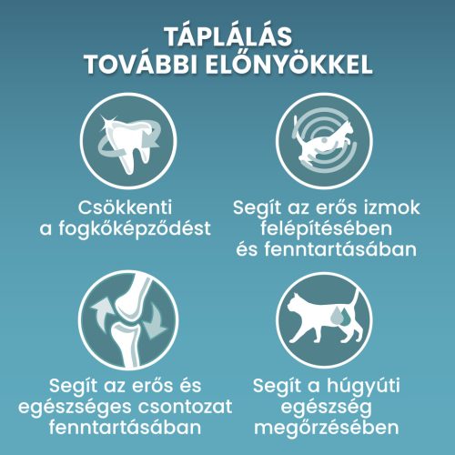 PURINA ONE STERILCAT Marhában gazdag száraz macskaeledel 800g