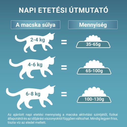 PURINA ONE STERILCAT Marhában gazdag száraz macskaeledel 800g