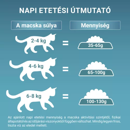 Purina ONE Bifensis Indoor Formula Pulykában gazdag száraz macskaeledel 800g