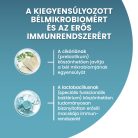 Purina One száraz macskaeledel junior csirke 800g