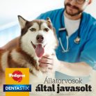 Pedigree Markies kutyakeksz velőscsonttal 500g