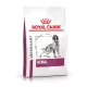 Royal Canin Veterinary Renal vesebetegség ckd száraz kutyaeledel 2kg