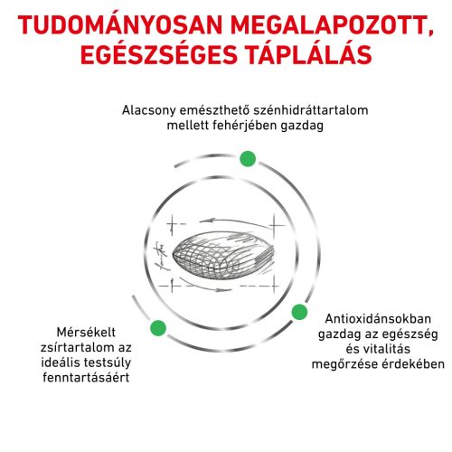 Royal Canin Veterinary Diabetic cukorbeteg száraz macskaeledel 1,5kg
