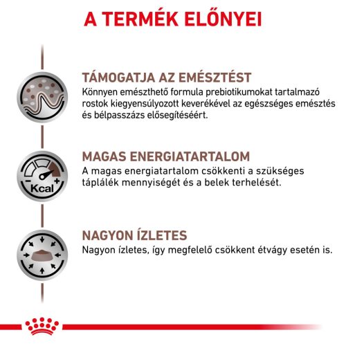 Royal Canin Veterinary Gastrointestinal emésztőszervi betegség száraz macskaeledel  2kg