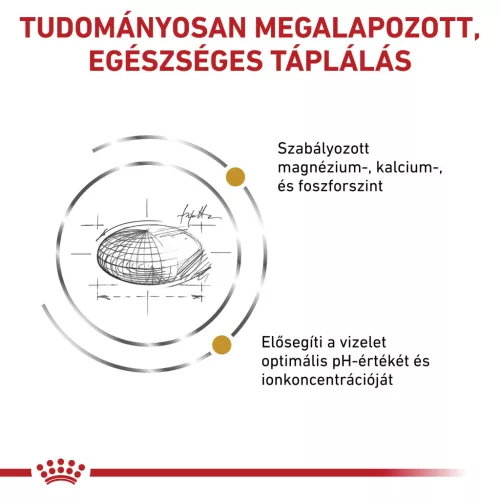 Royal Canin Veterinary Urinary s/o száraz macskaeledel húgykő ellen 1,5kg