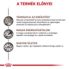 Royal Canin Veterinary Gastrointestinal emésztőszervi betegség kutya konzerv 12x400g
