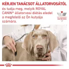 Royal Canin Veterinary Gastrointestinal emésztőszervi betegség kutya konzerv 12x400g