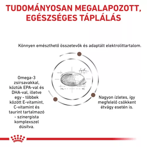 Royal Canin Veterinary Gastrointestinal emésztőszervi betegség száraz kutyaeledel 2kg