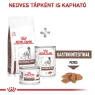 Royal Canin Veterinary Gastrointestinal emésztőszervi betegség száraz kutyaeledel 2kg