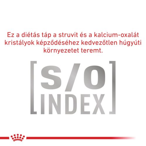 Royal Canin Veterinary Diabetic cukorbeteg kutya konzerv 12x410g