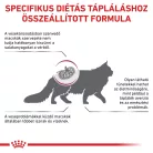 Royal Canin Veterinary Renal special vesebetegség ckd száraz macskaeledel 2kg