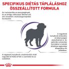 Royal Canin Veterinary Neutered large nagytestű ivartalanított száraz kutyaeledel 12kg