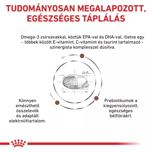 Royal Canin Veterinary Gastro low fat alacsony zsírtartalom száraz kutyaeledel 12kg