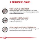 Royal Canin Veterinary Gastro low fat alacsony zsírtartalom száraz kutyaeledel 12kg