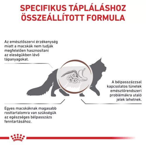 Royal Canin Veterinary Gastro fibre emésztés rostban gazdag száraz macskaeledel 400g