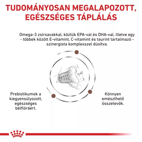 Royal Canin Veterinary Gastro fibre emésztés rostban gazdag száraz macskaeledel 400g