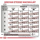 Royal Canin Veterinary Gastro fibre emésztés rostban gazdag száraz macskaeledel 400g