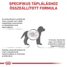 Royal Canin Veterinary Gastrointestinal emésztőszervi kölyök száraz eledel 2,5kg