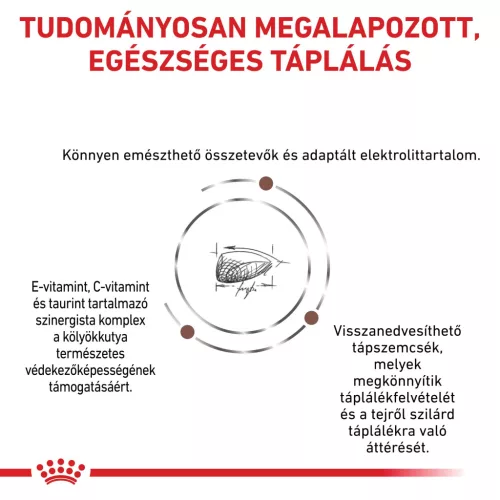 Royal Canin Veterinary Gastrointestinal emésztőszervi kölyök száraz eledel 2,5kg