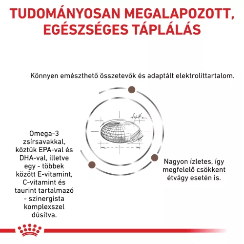 Royal Canin Veterinary Gastro mc emésztőszervi alacsony kalória száraz macskaeledel  2kg