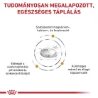 Royal Canin Veterinary Urinary s/o S dog száraz kutyaeledel kistestű húgykő 1,5kg