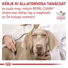 Royal Canin Veterinary Urinary s/o S dog száraz kutyaeledel kistestű húgykő 1,5kg