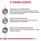 Royal Canin Veterinary Gastro high fibre emésztés rostban gazdag száraz kutyaeledel 14kg