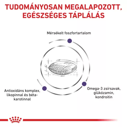 Royal Canin Veterinary Mature consult idős kor száraz macskaeledel 1,5kg