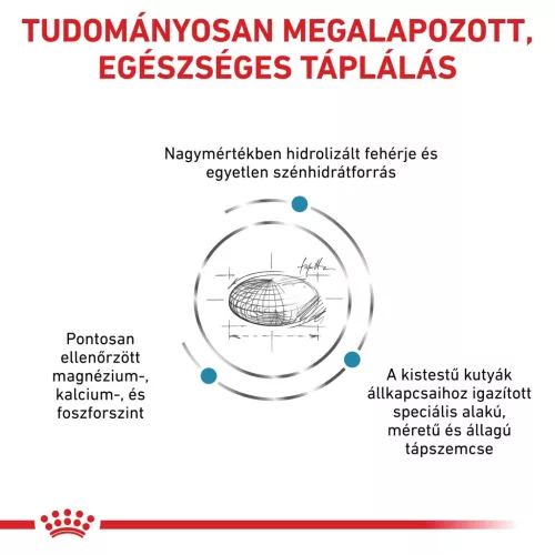 Royal Canin Veterinary Hypoallergenic S hipoallergén kistestű száraz kutyaeledel 1kg