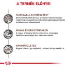 Royal Canin Veterinary Gastrointestinal emésztőszervi betegség száraz kutyaeledel 7,5kg