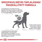 Royal Canin Veterinary Diabetic cukorbeteg száraz kutyaeledel 1,5kg