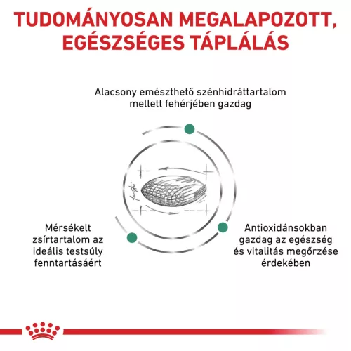 Royal Canin Veterinary Diabetic cukorbeteg száraz kutyaeledel 1,5kg