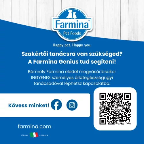 N&D Prime Csirke & Gránátalma Ivartalanított Felnőtt Száraz Macskaeledel 1,5kg
