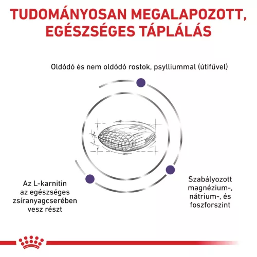 Royal Canin Veterinary Neutered Satiety száraz macskaeledel 400g