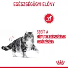 Royal Canin Feline Care Nutrition Urinary Care száraz macskaeledel 400g