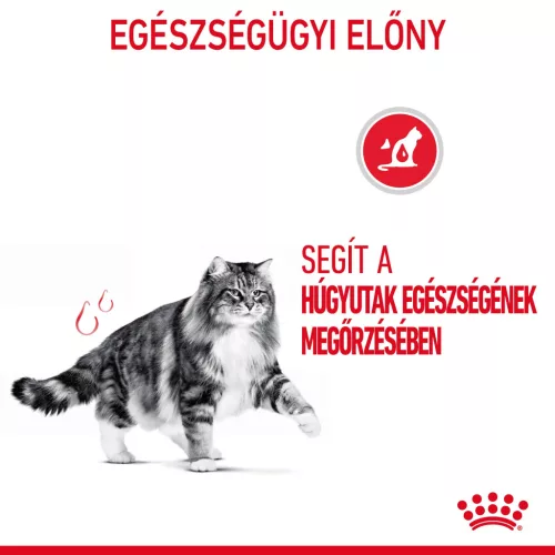 Royal Canin Feline Care Nutrition Urinary Care száraz macskaeledel 400g
