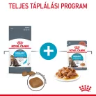 Royal Canin Feline Care Nutrition Urinary Care száraz macskaeledel 400g