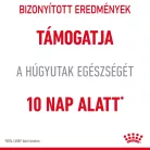 Royal Canin Feline Care Nutrition Urinary Care száraz macskaeledel 400g