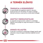 Royal Canin Veterinary Renal vesebetegség ckd kutya konzerv 12x410g