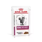 Royal Canin Veterinary Renal beef vesebetegség alutasak macskaeledel marha 12x85g
