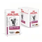 Royal Canin Veterinary Renal beef vesebetegség alutasak macskaeledel marha 12x85g
