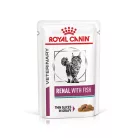 Royal Canin Veterinary Renal fish vesebetegség alutasak macskaeledel hal 12x85g
