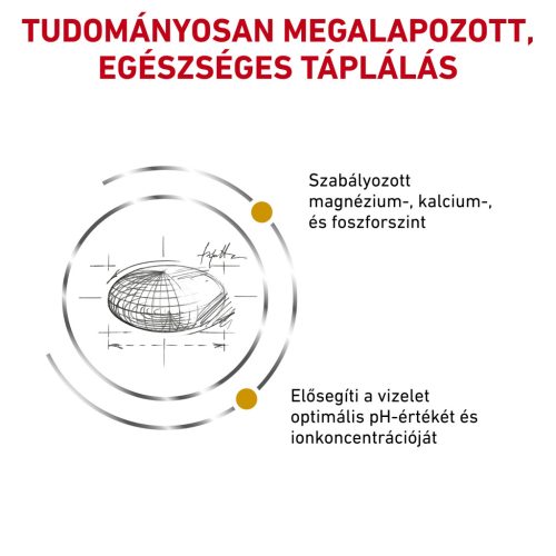 Royal Canin Veterinary Urinary s/o száraz macskaeledel húgykő ellen 3,5kg