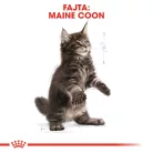 Royal Canin Feline Breed Nutrition Maine Coon kitten száraz macskaeledel 2kg