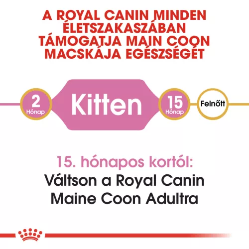 Royal Canin Feline Breed Nutrition Maine Coon kitten száraz macskaeledel 2kg