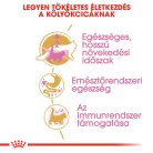 Royal Canin Feline Breed Nutrition Maine Coon kitten száraz macskaeledel 2kg