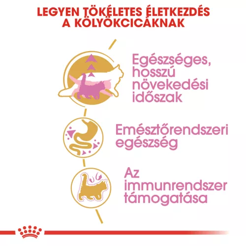 Royal Canin Feline Breed Nutrition Maine Coon kitten száraz macskaeledel 2kg