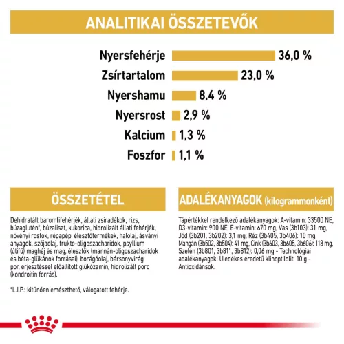 Royal Canin Feline Breed Nutrition Maine Coon kitten száraz macskaeledel 2kg