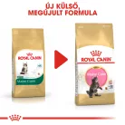 Royal Canin Feline Breed Nutrition Maine Coon kitten száraz macskaeledel 2kg
